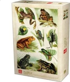 1000P GRENOUILLE - ENCYCLOPEDIE