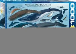 1000P BALEINES ET DAUPHINS